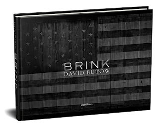 image of cover of book "Brink"