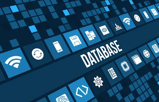 what is database system  what is database management system  types of database  relational database  examples of database  database tutorial  database sql  database software