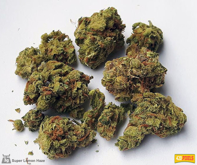 Lemon Haze strains