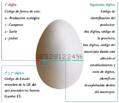 Explicación código de la cáscara del huevo