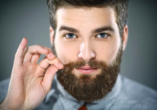 Big Beard Styles Pictures - Click Beard Styles Pic |  Beard Style Pictures 2023 - Pressure beard - Neoteric IT - NeotericIT.com