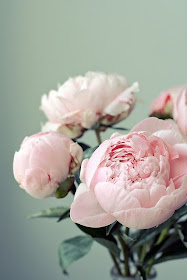 https://www.flickr.com/photos/virtualinsanity/3615244765/lightbox/