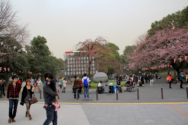 日本 東京 上野公園 櫻花