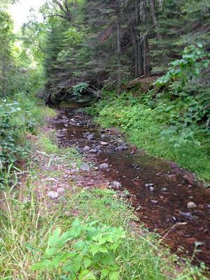 is this a brook, creek, stream, rill or run?