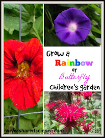themed kids gardens rainbow butterfly