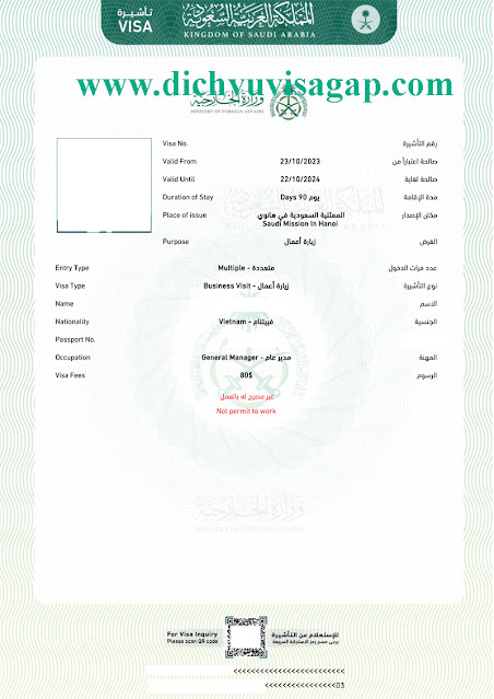visa Saudi Arabia