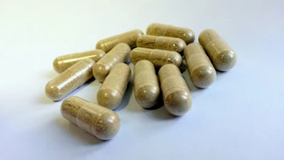Chaga mushroom capsules