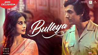 Bulleya Lyrics | Romeo Akbar Walter | Rabbi Shergill | Shahid Mallaya