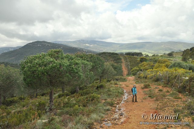 Sendero La Teja