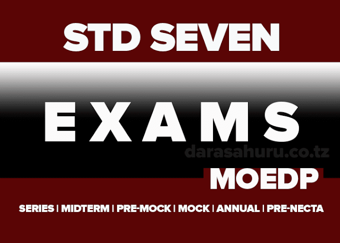 Standard Seven Monthly Test (MOEDP) March 2024 Primary School Exams