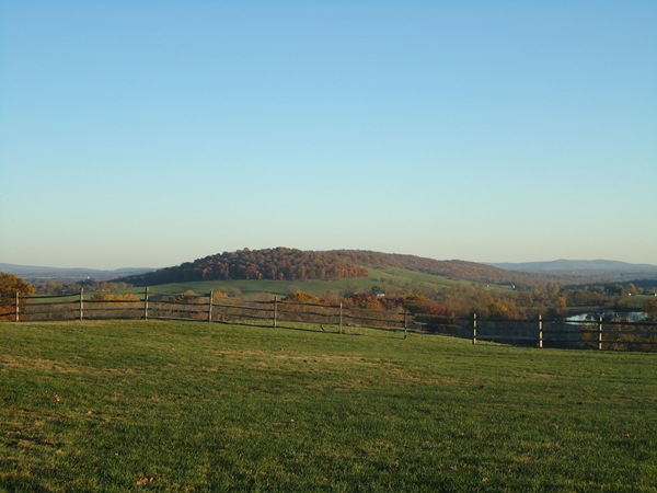 DSC07908