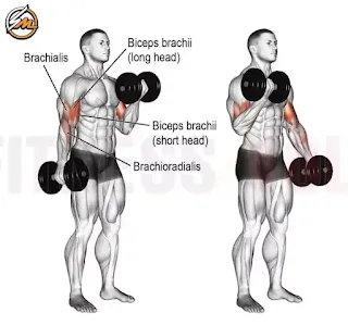 Top 5 Dumbbell Exercises For Building Strength