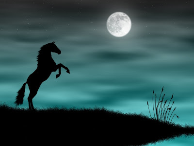 Black Horse Wallpaper Moonlight