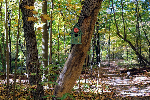 Bird houses in forest of Warden Woods