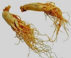 perawatan kulit natural alami ginseng sabun natural