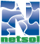 NetSol Pakistan