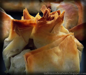 Crujientes de pasta filo con carne mechada en salsa