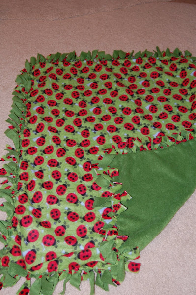 No Sew Fleece Blankets
