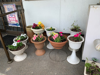 お店の前の花