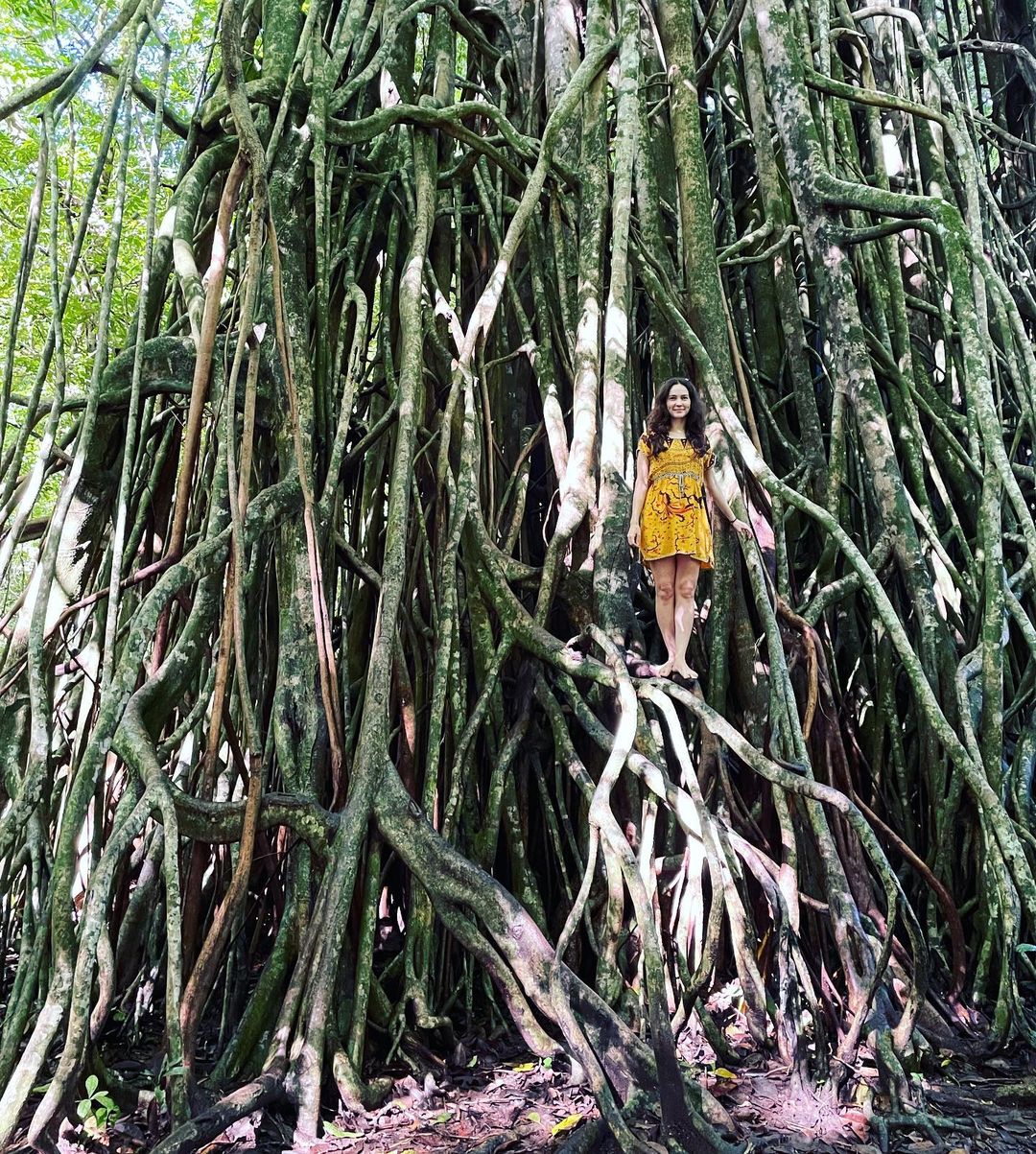 Ujung Kulon National Park Banten