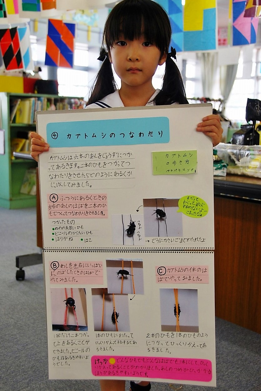 加藤学園暁秀初等学校 新着情報 オープンプラン１ ３年生 自由研究コンテスト結果発表