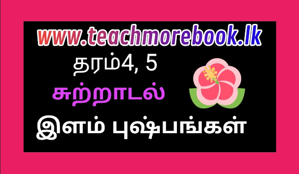 தரம் 4, 5 (சுற்றாடல்) 