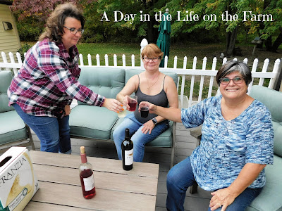 3 women on deck toasting with wine