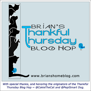 Brian's Thankful Thursday blog hop.