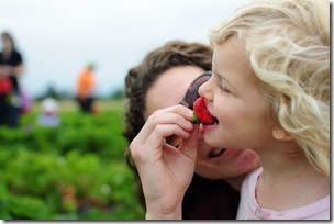 Strawberry Picking & Marcus band 132