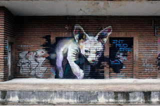 Graffitis de Gatos: Explorando el Arte en las Paredes Urbanas