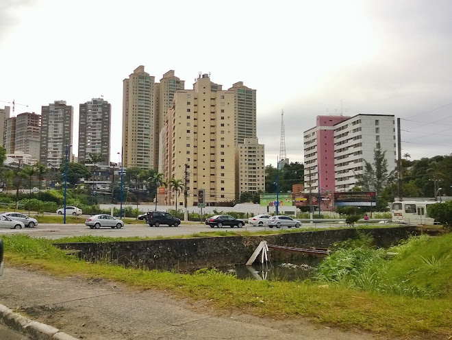 A verticalização e a degradação ambiental