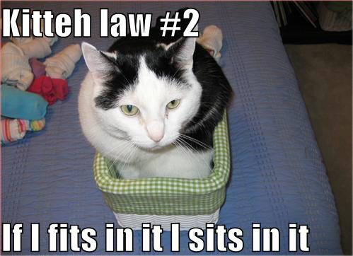 LOLCats - lol-cats