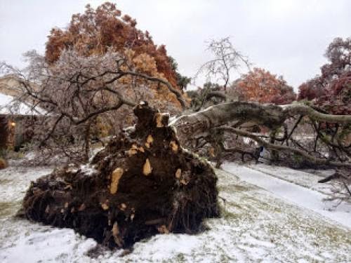 Killer Freeze And Ice Storm Hits Hard With The New Moon An Astrological View