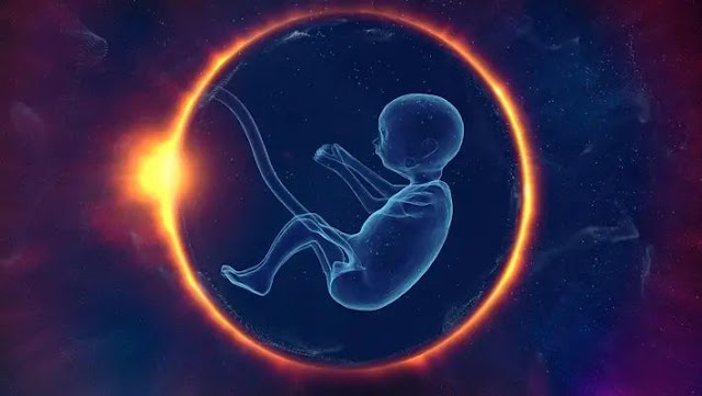 #Chamatkar बिना egg और sperm के सिंथेटिक इंसानी भ्रूण Synthetic Human Embryo बनाकर विज्ञानियों ने दुनियां को किए हैरान..