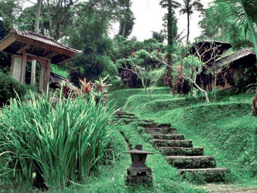 Outdoor Hot Water Carving Tabanan