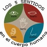 http://213.0.8.18/portal/educantabria/contenidoseducativosdigitales/primaria/cono_3_ciclo/CONTENIDOS/CUERPO%20HUMANO/DEFINITIVO%20NERVIOSO/Publicar/page2.html