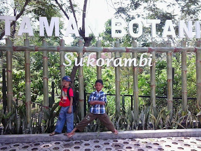 Menghabiskan Weekend Bersama Keluarga Berwisata di Taman Botani Sukorambi