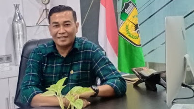 Ismawardi : Tidak Ada Hasil Audit BPK Menyatakan Pemko Krisis