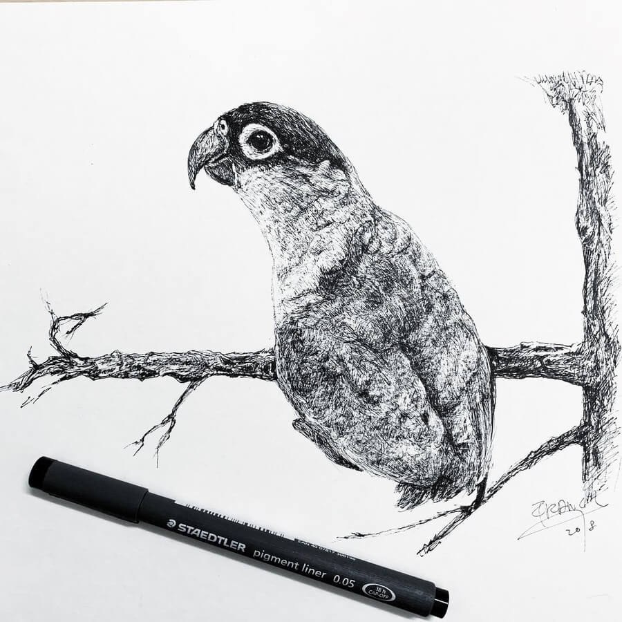 08-The-little-parrot-Ink-Pet-Drawings-Franctasyart-www-designstack-co