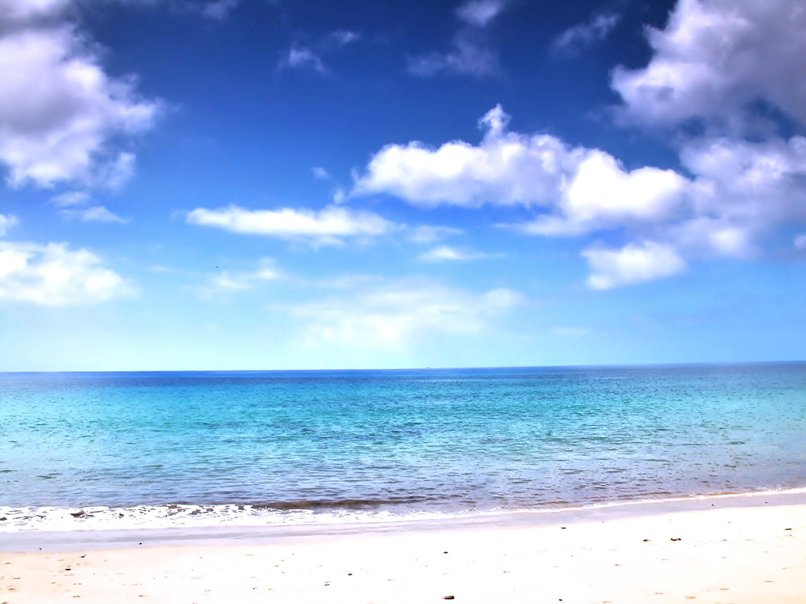 Beach Photography