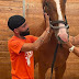 ARCÁNGEL COMPRA CABALLO Y LE PONE NOMBRE SU HERMANO FALLECIDO