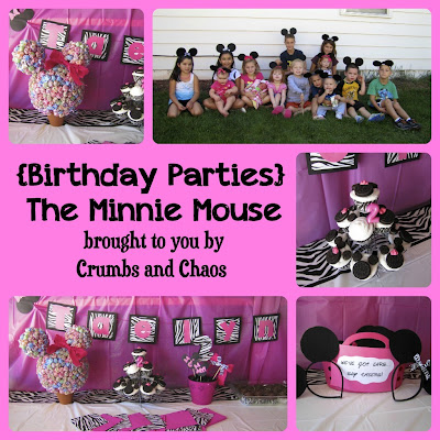 Year  Girl Birthday Party Ideas on Birthday Parties  The Minnie Mouse   Crumbs And Chaos