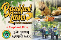Breakfast with Lion including Elephant Back Safari