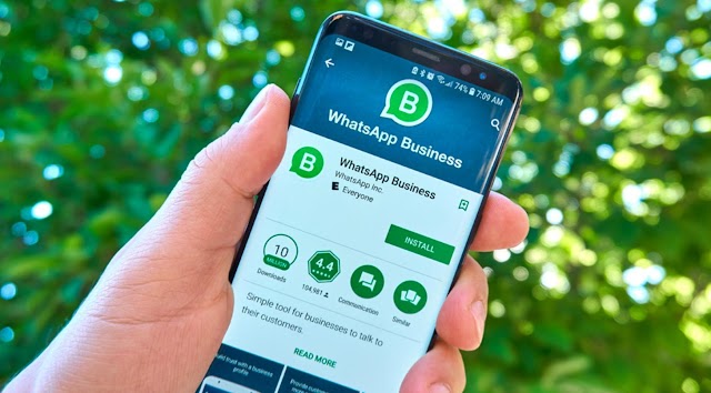 WhatsApp Business Features for Companies: Everything You Need to Know