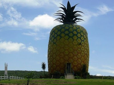 The Big Pineapple