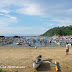 sebar kan Pantai Pancer - Menelisik Perkampungan Nelayan Lokal Pesisir Selatan Banyuwangi