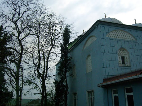 A small village's mosque outside Istanbul.