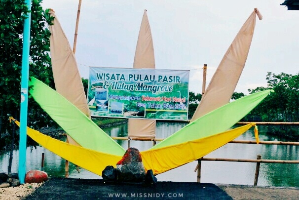 hutan mangrove pandansari brebes