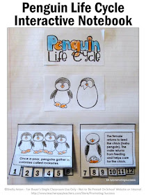  penguin life cycle activities for kids
