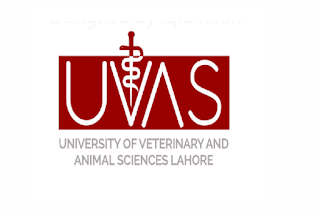 Latest University of Veterinary and Animal Sciences UVAS Research Posts Lahore 2023